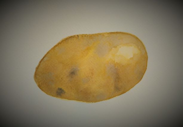 A watercolor painting of a russet potato.